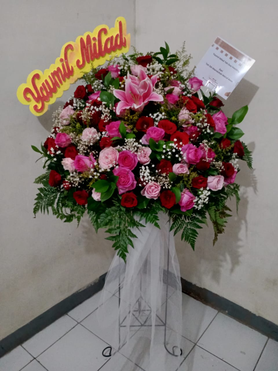 IMG-20221103-WA0025